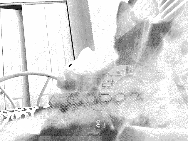 An abstract image of a cat on a bed with some grungy textures layered atop.